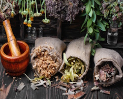 Як збирати трави