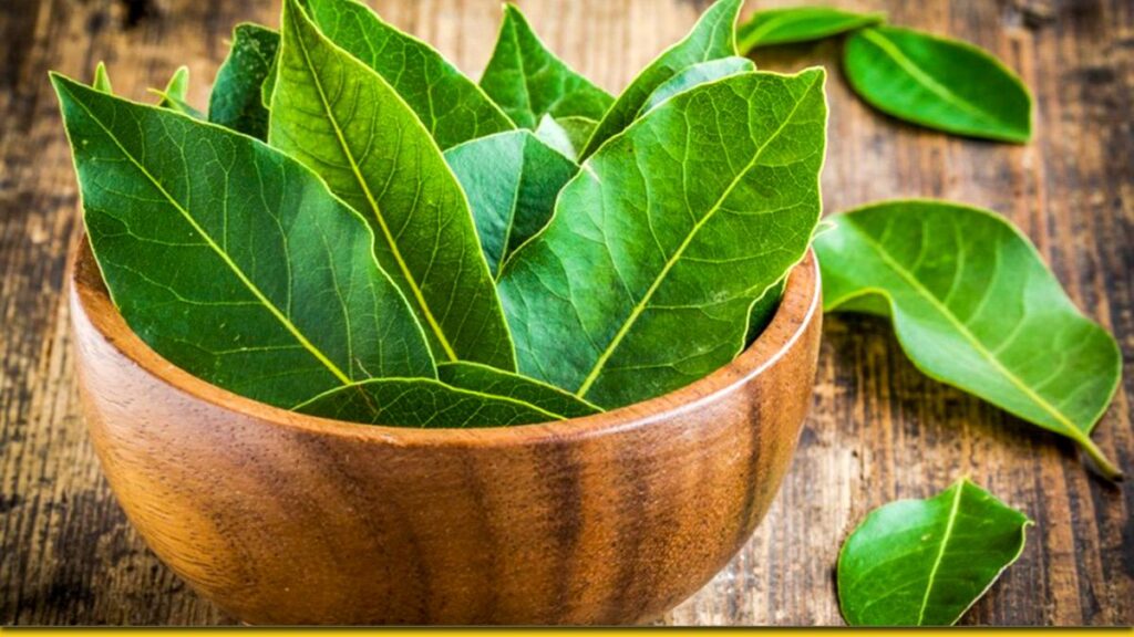 Лавровий лист