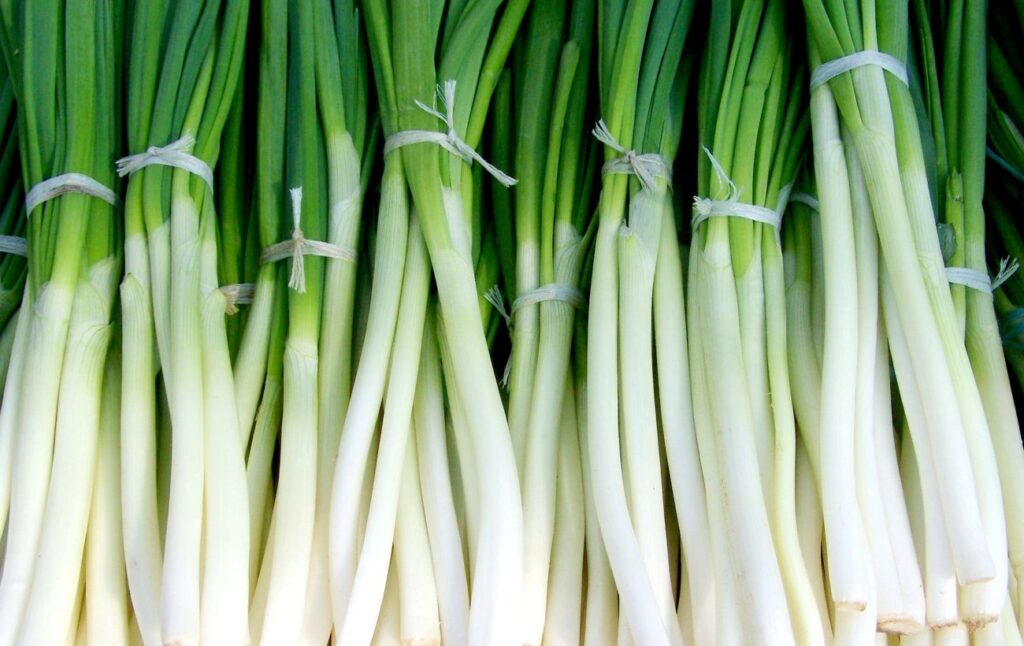 зелена цибуля