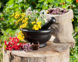 Збираємо трави