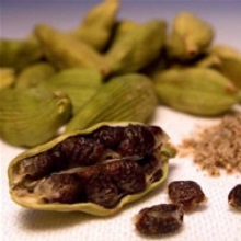 Кардамон справжній (Elettaria cardamomum)