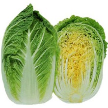 Капуста пекінська (Brassica rapa subsp. pekinensis)