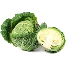 Капуста савойська (Brassica oleracea, convar. capitata, var. sabauda)