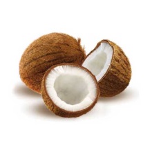 Кокосова пальма (Cocos nucifera)