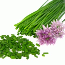 Цибуля гранчаста (Allium angulosum)