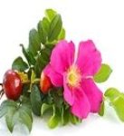 cropped-logo2-150_150.jpg Здоров'я Вам!