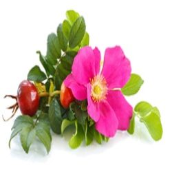 ЗДОРОВ'Я ВАМ!